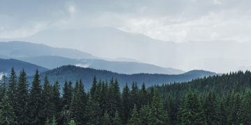 о контактах, чинных говорах и взаимодействии с лидерами народов мира