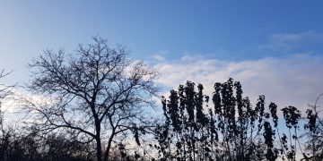 Солнечный день.