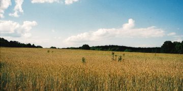 о земле принятой добрым народом от Творца