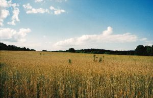 о земле принятой добрым народом от Творца