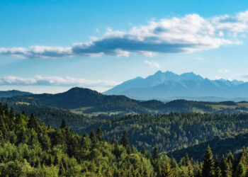 лидерам народов мира, рас и цивилизаций тем кого это может касаться